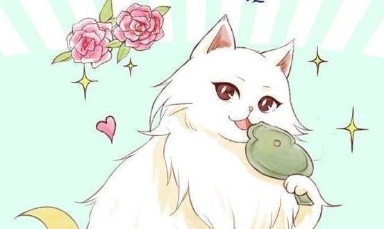 汤姆猫|美国我有只猫叫杰瑞,日本我的叫哆啦A梦,中国弟弟们让下