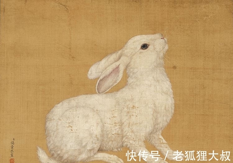 十二生肖|新年新气象:十二生肖,2022年(虎年)运势简析!