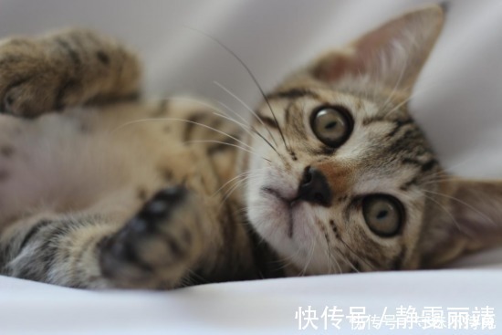 过敏性|过敏性咳嗽危害大,看看这些危害,宝妈们知道吗?