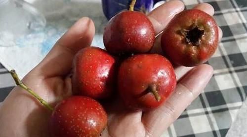 山楂与“此物”是一对,一同泡水喝,排毒祛湿,减掉多年大肚腩