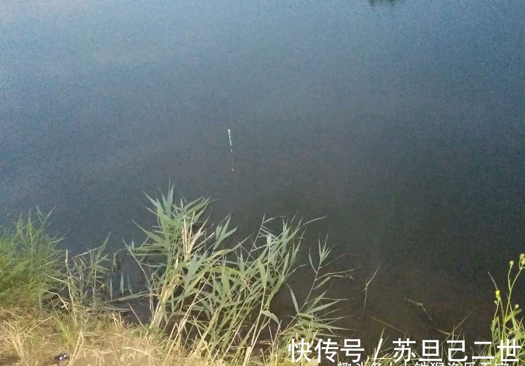 绝密钓技草鱼篇,教你三招草鱼绝杀钓法,助您从此不空军