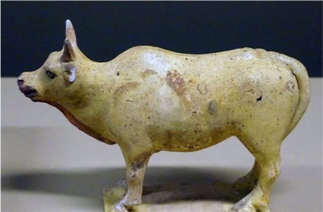 发现|考古挖掘不久即发现盗洞,被笑与盗墓走一条路,进入墓室后意外了