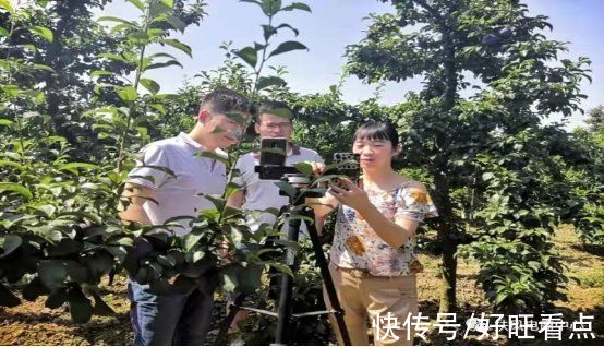 扶风县|陕西扶风：e联群众 携手电商?全面开乡村振兴新时代