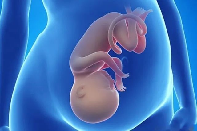 征兆|孕妇在快要生之前,会有这5种“征兆”,孕妈提前了解心中才有数