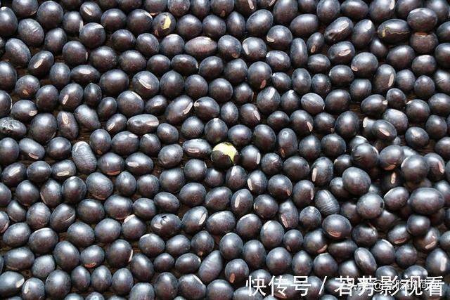 三黑豆浆|50岁姑姑吃了20年的黑豆吃法,不熬粥不泡醋,越吃越精神