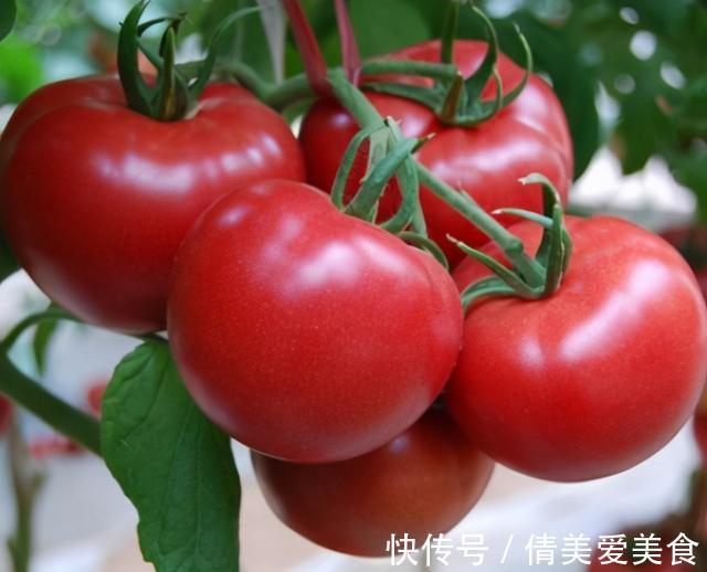 区别|买西红柿,“5叶”“6叶”要分清,区别很大,弄懂再买不浪费钱