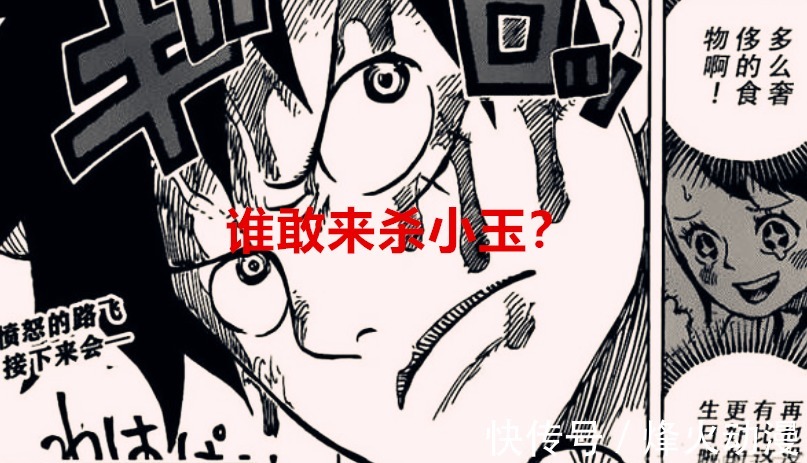 海贼王|海贼王1037话:被忽视的重要果实,或许五老星真正的目标是她