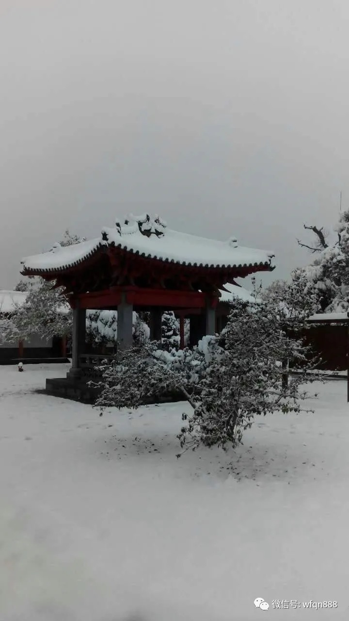 李煜&一首只写了一半的唐诗,诗人因不愿写完而落榜,短短20字惊艳世人