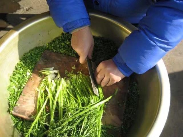 新鲜|腊月才有的一种蔬菜,新鲜的无人吃,但做腌菜却是一绝
