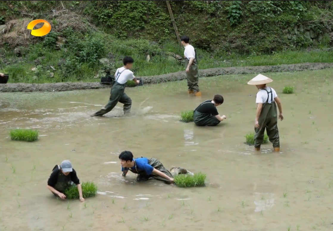 《向往3》强行塞新人,黄磊2次表达不满,连何炅都面露疲态