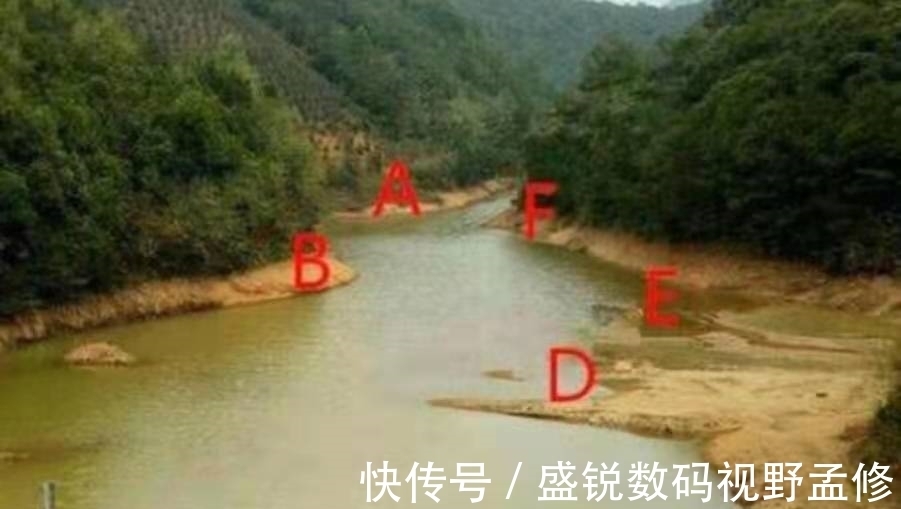 饵料|别嫌我啰嗦,夏天一旦换用这鲤鱼钓法,不吹不黑,三天两头就想钓