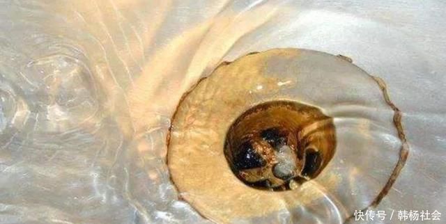 花露水|卫生间下水道里倒一碗,再臭再脏全消失,还没小飞虫,简单有效