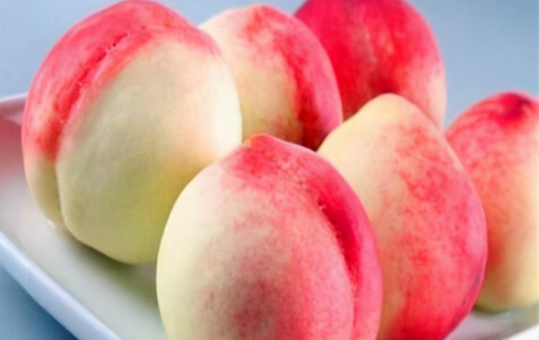 增强体质|聪明人爱吃3种食物,美容养生、延缓衰老,身体棒棒哒!