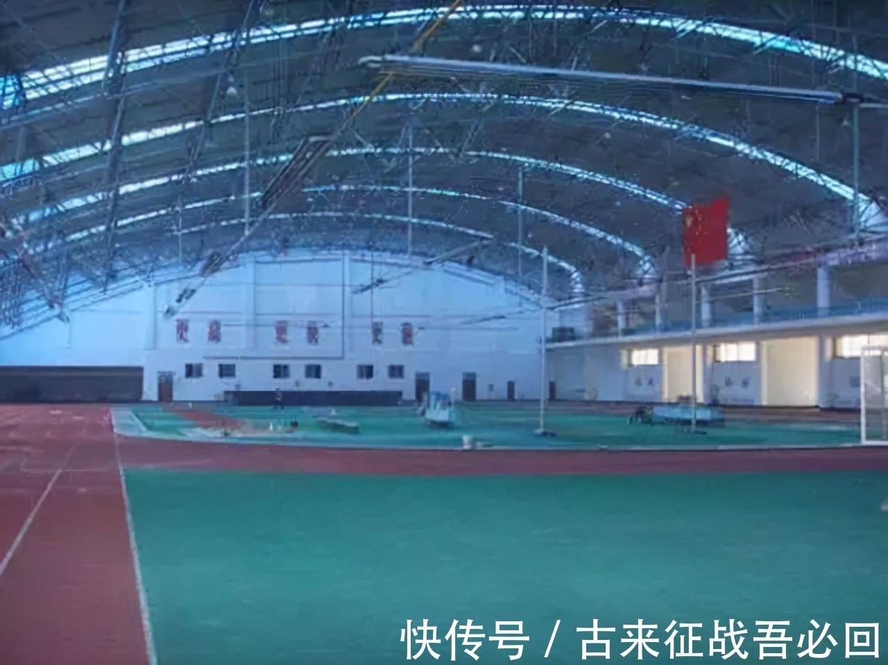 中国藏獒俱乐部|马家军教练离开赛场,靠养狗成为千万富翁,70多岁重回俱乐部执教