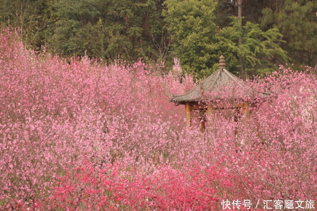 何炅挚爱，“桃花源记”真迹地，《向往的生活5》取景地刷屏！