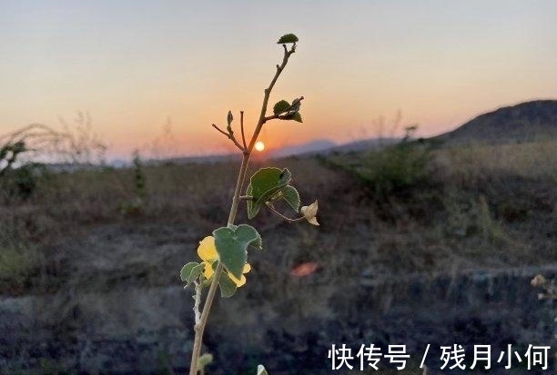 良缘|9天内，天赐良机，良缘再续，月老助力，深情再续，再续前缘