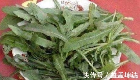 皇帝|这种野草皇帝都吃过,若见到不要再当普通杂草,它的作用可大了