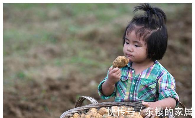 苹果|法国人称地下苹果，俄罗斯人称第二面包，营养丰富，三伏天多吃点