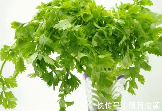 生姜|大肚腩不用愁！生姜和它煮水喝，七天甩掉20斤，比减肥药更有效