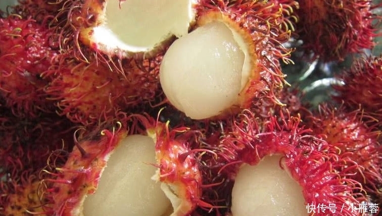 拿来|5种最“毁身材”的水果,图3却被拿来减肥,难怪会大象腿