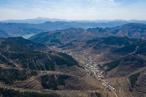 探寻大山深处的济南金刚纂村，盘山公路蜿蜒曲折，村里有两棵古树