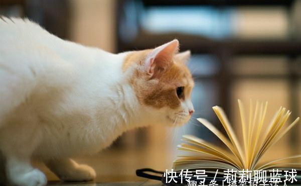 |爆笑段子:今天女领导让我去她家修下水道,却正好遇到人口普查