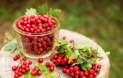 葡萄|明日处暑，记得“3汤4果5菜”，应季而食，润肺解秋燥，安稳过秋