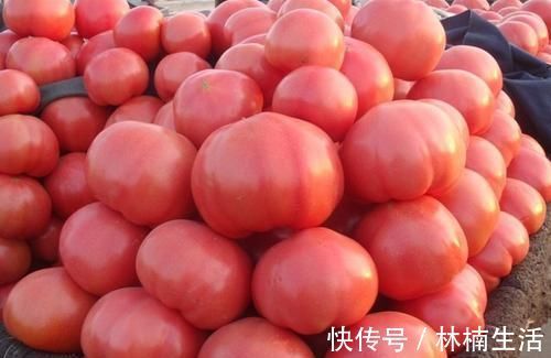 苋菜|有便秘不用急,推荐6种食物,润肠通便排毒素,解决便秘的困扰