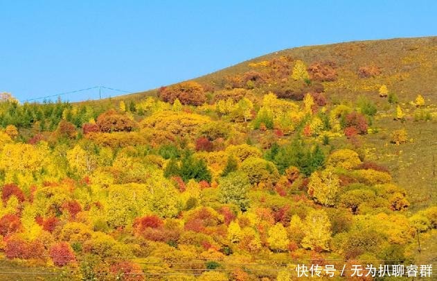 狮子座|狮子座：会考虑你面子的5个星座，可以让你眼前一亮的好友