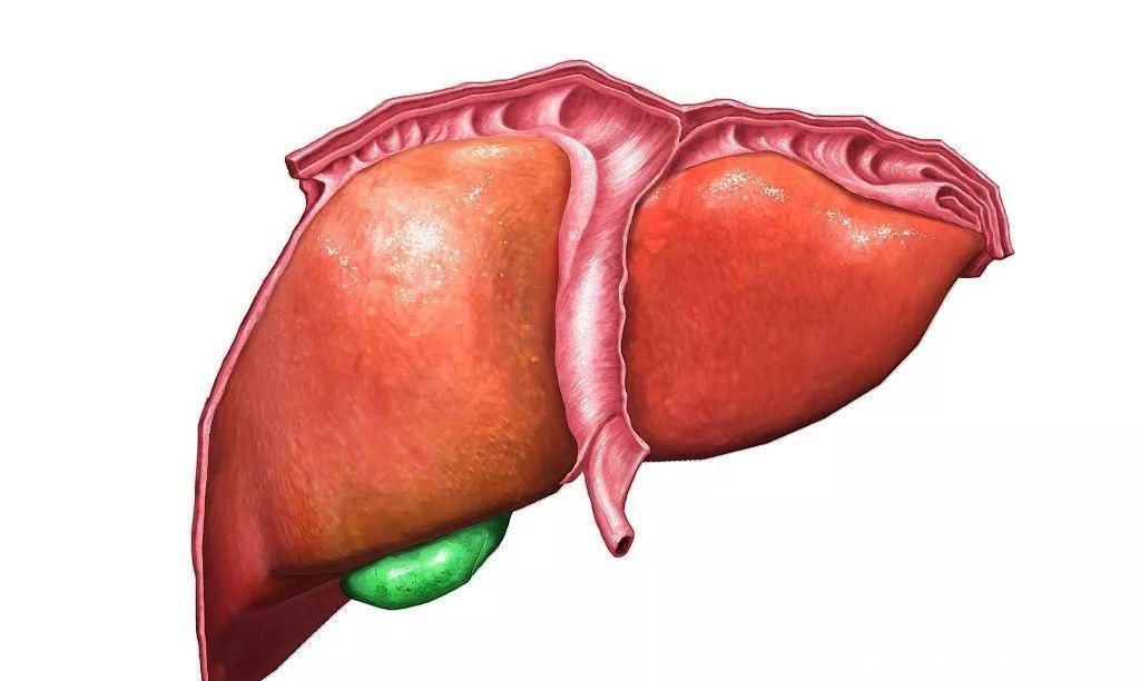 脂肪肝|“三甜”伤肝,尽量少吃,“二苦”养肝,建议多吃,保护肝脏健康
