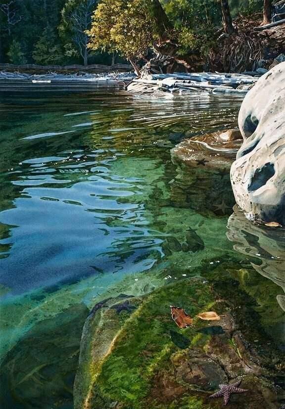 湖底@她画了一片湖水,波光粼粼,放大5倍后,专家懵了:这根本不是画