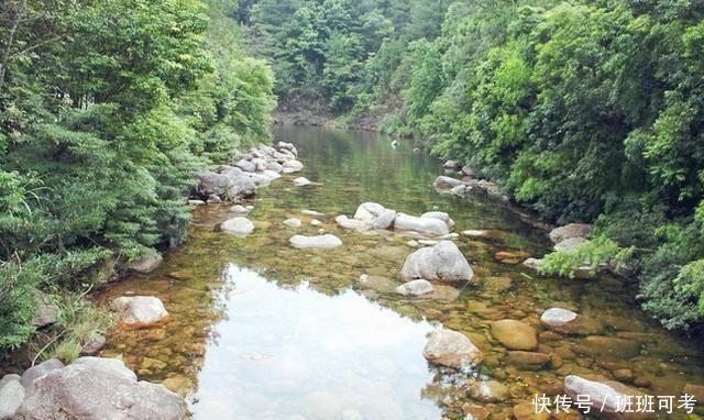 它常被误认成鲶鱼,一斤180元比刀鱼鲜美,如今被当补品快吃绝了