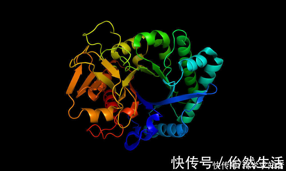 人类|没错,战胜柯洁的AI,已经开始解决困扰科学家50年的生物难题