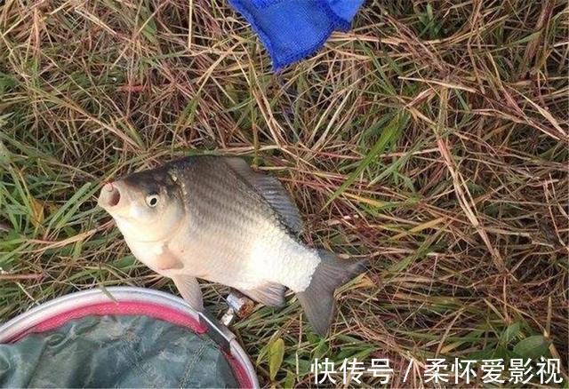 又有两名钓友溺亡，拖走的鱼竿别捞，鱼再大也不值得