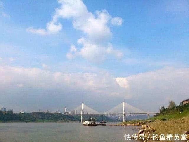 大别山|大别山下,淠水河中,此鱼甚多,我们本地人叫它“船钉”
