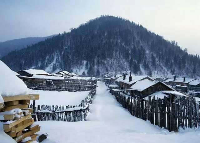  品读|品读名家笔下的雪景