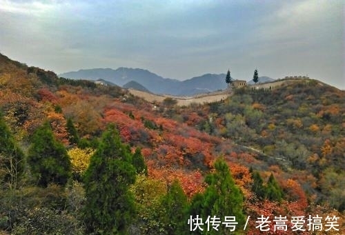 旅行胜地|北京一秋季旅行胜地，斑斓彩林宛如油画般美丽，人少景美适合郊游