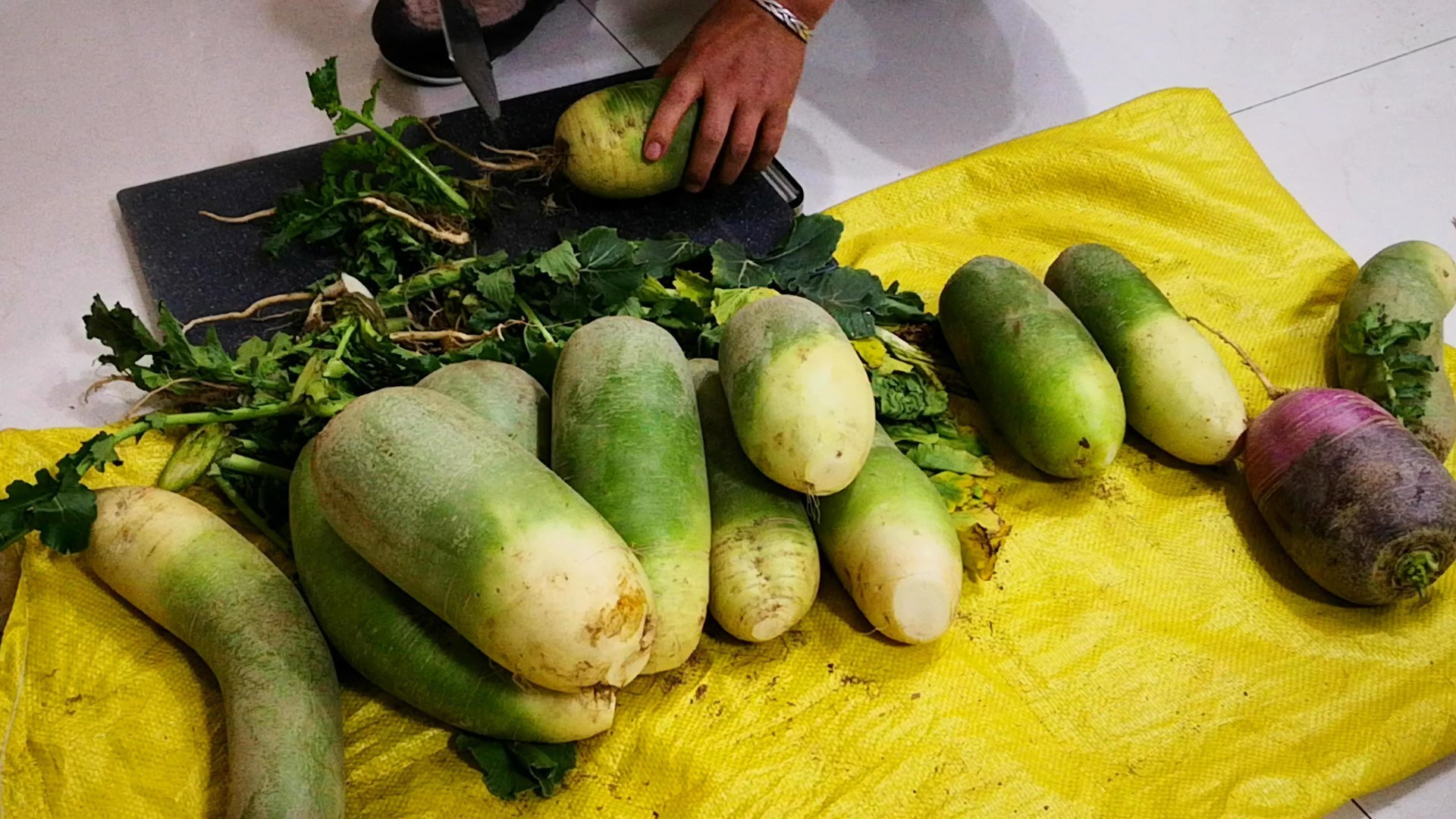 不管是保存萝卜还是白菜,学会此方法,放一冬天都新鲜,特方便