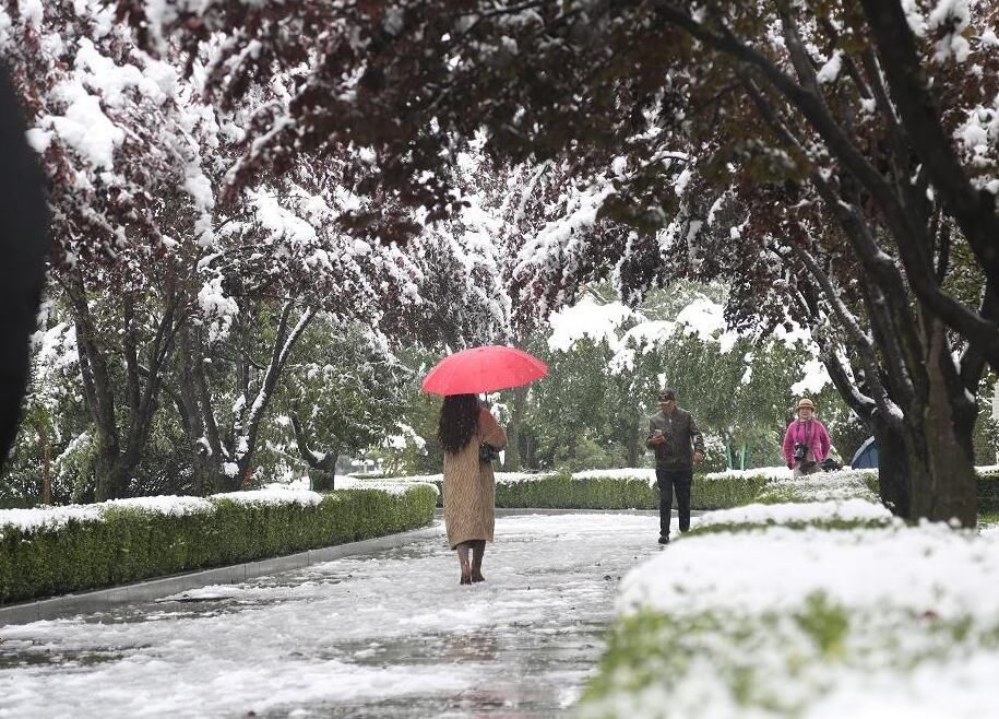 初雪|下雪啦！全国多地迎入秋后首场降雪