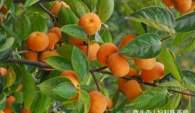 营养成分|想长寿要会吃,多吃3种食物,润肠排毒,美容养颜,滋养子宫