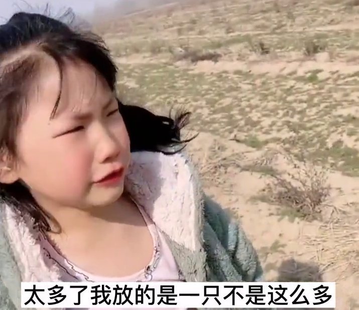 小姑娘|小姑娘不想写作业想放羊,妈妈带她去放一群羊,结局亮了!