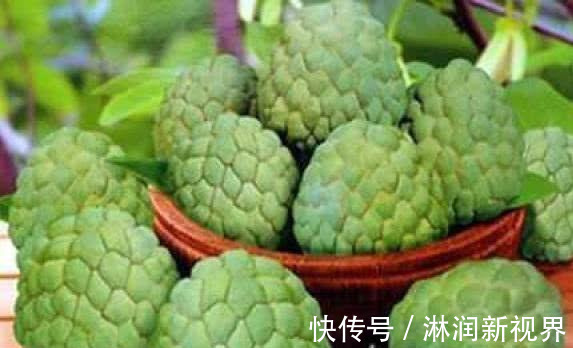 长寿老人|长寿老人最常吃的3种食物,坚持吃几天,排毒抗衰,增强免疫力