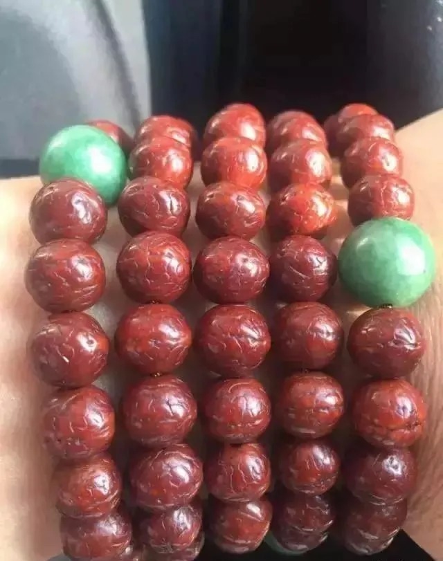 国产|酸枣核已退位,国产嫁接凤眼登场——如何辨别凤眼菩提的产地!