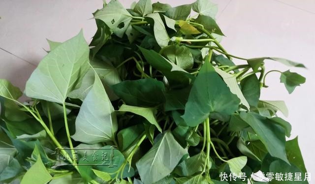 维生素c|夏天,少吃苦瓜茄子多吃它俩,富含维生素C滋养肌肤,不懂吃可惜!