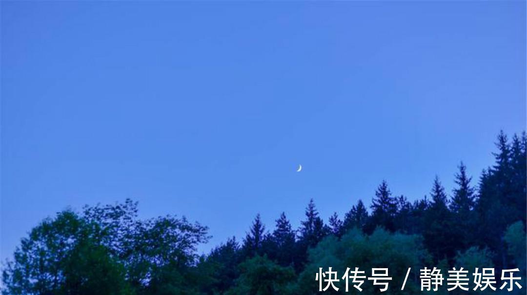 冬歌#一首很孤独的唐诗,从开篇到结尾无一字不伤感,句句充满了忧愁!