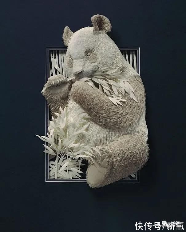 白纸#陈晓得了折纸界奥斯卡大奖,这也太绝了吧