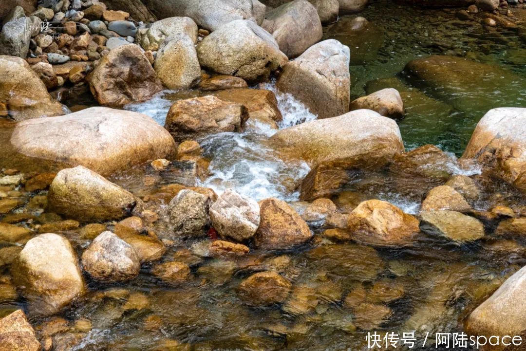 夏腊梅 游览“浙西小黄山”,这里的溪涧尤其适合在夏天玩耍