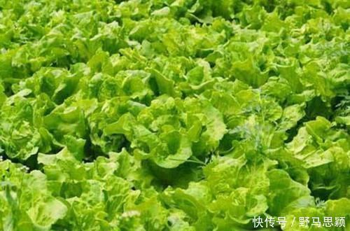 糖尿病患者|天然的“胰岛素”终于找到了,坚持每天来一点,血糖悄悄降下去