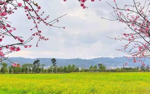 有福气|宝宝如果出生在这3个“时辰”，证明母子俩都有福气，你家是吗？