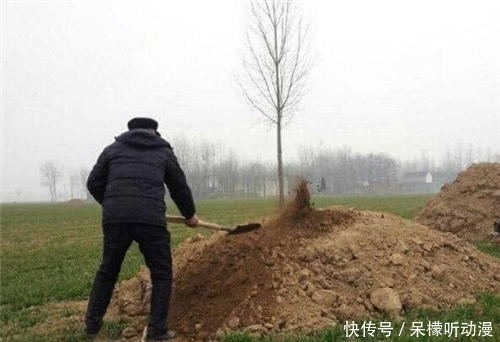 臣子|同样是坟墓,为何皇帝的叫陵,臣子只能叫冢,古人丧葬有多讲究?